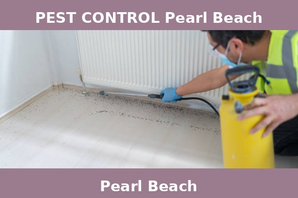 PEST CONTROL Pearl Beach